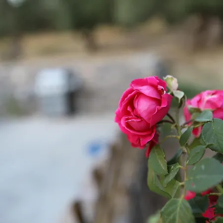 Drosia - Nature Getaway! Villa Plakias